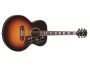 TapaSpruce Diap Palorrosa sist Fishman Acc Dor
