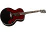 Pick up Fishman, doble Pick Guard c/Estuche
