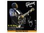 Cuerdas BB King signature 010/054