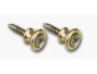 Sujeta Correa Bronce pack x 2