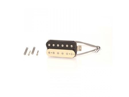 Microfono Doble Zebra Mago/Puente