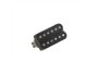 Humbck/Dbl Blk-Bridge