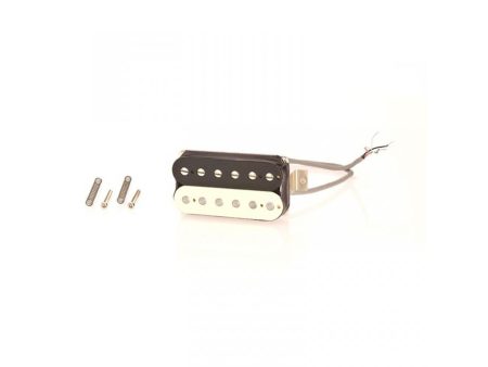Microfono Doble Zebra Puente