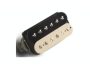 Microfono Doble Zebra Puente