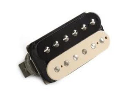 Microfono Doble Zebra Puente