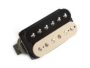 Microfono Doble Zebra Puente