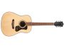 Tapa Solida SPRUCE |Dreadnought|OPEN PORE SATIN