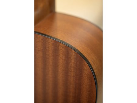 Tapa Solida SPRUCE |Dreadnought|OPEN PORE SATIN - Image 9