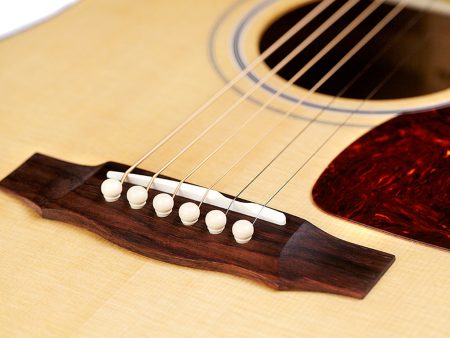 SPRUCE+MAHOGANY+WALNUT|Dreadnought|Estuche (USA) - Image 10