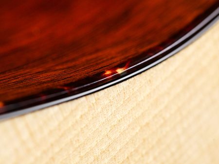 SPRUCE+MAHOGANY+WALNUT|Dreadnought|Estuche (USA) - Image 9