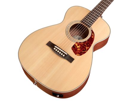 Tapa Solida SPRUCE|Concert Archback| FISHMAN GT-1 - Image 4