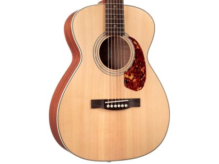Tapa Solida SPRUCE|Concert Archback| FISHMAN GT-1 - Image 6