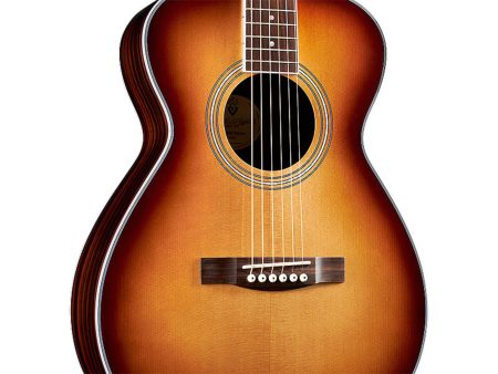 Tapa Solida SPRUCE+EBONY |Concert| FISHMAN GT-1 - Image 6
