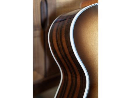 Tapa Solida SPRUCE+EBONY |Concert| FISHMAN GT-1 - Image 8