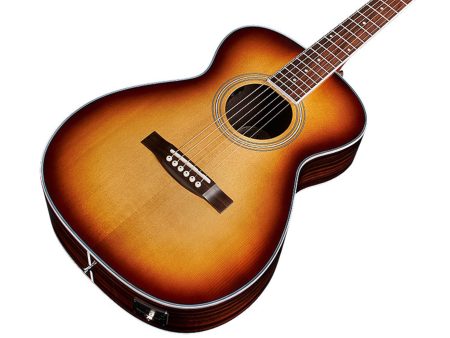 Tapa Solida SPRUCE+EBONY |Concert| FISHMAN GT-1 - Image 3