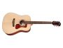 Tapa Solida SPRUCE |Dreadnought Archback| FISHMAN GT-1
