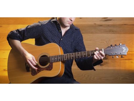 Tapa Solida SPRUCE |Dreadnought Archback| FISHMAN GT-1 - Image 7