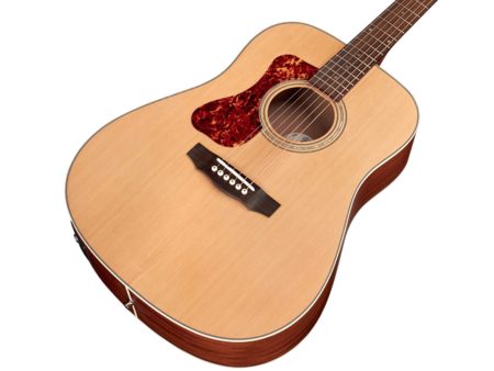 ZURDA|Tapa Solida SPRUCE |Dreadnought|FISHMAN GT-1 - Image 4