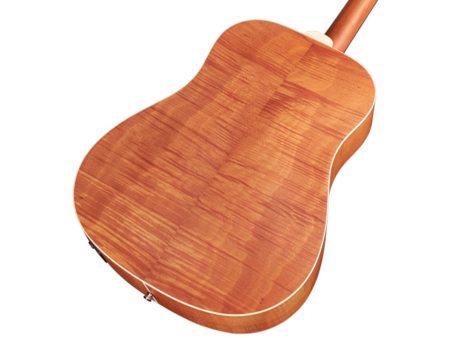 Tapa Solida SPRUCE |Dreadnought Archback| FISHMAN - Image 5