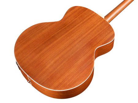 Tapa Solida SPRUCE |Jumbo Archback| FISHMAN GT-1 - Image 6