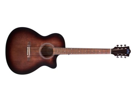 Tapa Solida SPRUCE c/Corte|Orchestra Archback|FISHMAN - Image 2