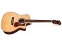 T Solid SPRUCE+ROSEWOOD c/Corte |Orchestra|FISHMAN