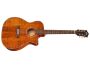 Tapa Solida BLACKWOOD| Orchestra| FISHMAN GT-1