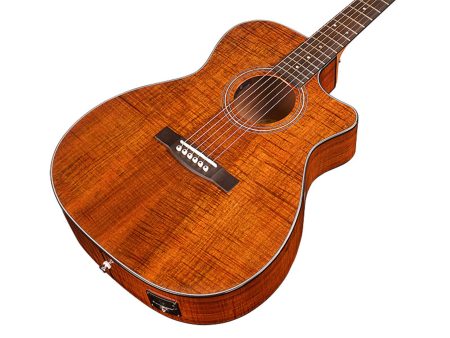 Tapa Solida BLACKWOOD| Orchestra| FISHMAN GT-1 - Image 5