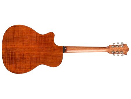 Tapa Solida BLACKWOOD| Orchestra| FISHMAN GT-1 - Image 3
