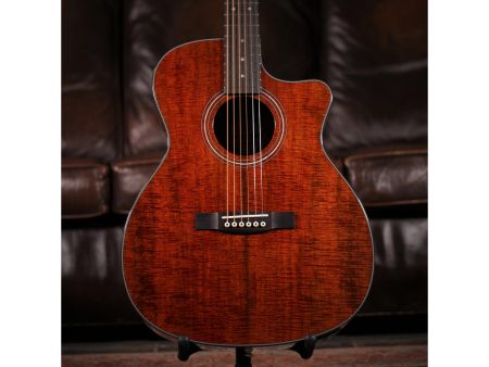 Tapa Solida BLACKWOOD| Orchestra| FISHMAN GT-1 - Image 7