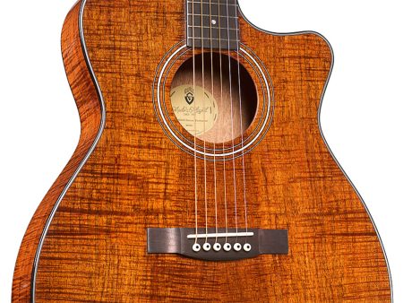 Tapa Solida BLACKWOOD| Orchestra| FISHMAN GT-1 - Image 4