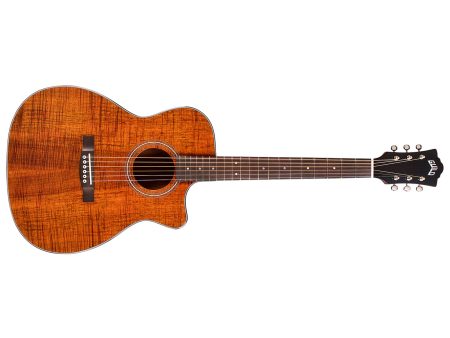 Tapa Solida BLACKWOOD| Orchestra| FISHMAN GT-1 - Image 2