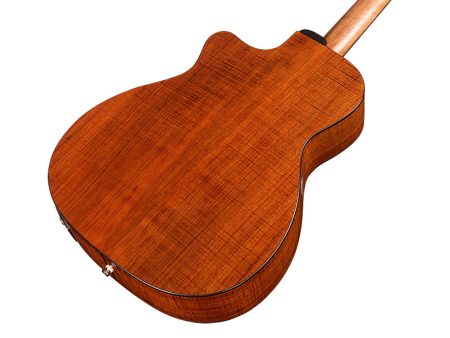 Tapa Solida BLACKWOOD| Orchestra| FISHMAN GT-1 - Image 6