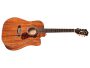 Toda Solida MAHOGANY c/Corte|Dreadnght|FISHMAN c/FUNDA