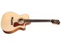 Toda Solida SPRUCE c/Corte |Orchestra|FISHMAn c/FUNDA