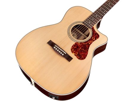 Toda Solida SPRUCE+ROSEWOOD|Orchestra|FISHMAN c/FUNDA - Image 4