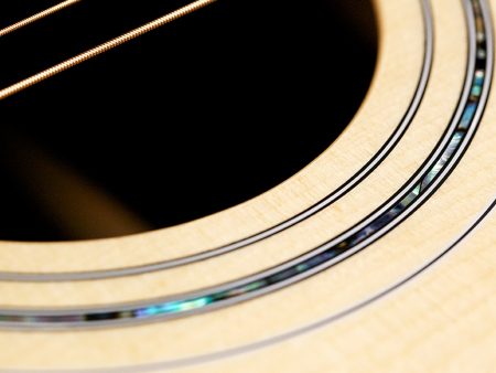 Spruce+Rosewood |Dreadnought|LR Baggs Pickup (USA) - Image 5