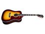 Spruce+Rosewood |Dreadnought|LR Baggs Pickup (USA)