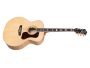 Spruce+Rosewood |Jumbo|LR Baggs Pickup (USA)