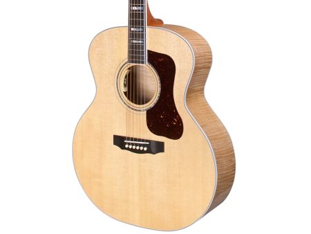 Spruce+Rosewood |Jumbo|LR Baggs Pickup (USA) - Image 7
