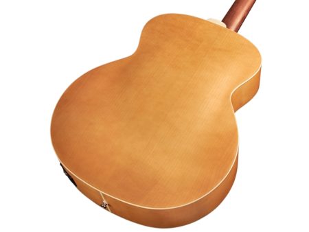 12 Cuerdas Tapa Solida SPRUCE+MAPLE |Jumbo|FISHMAN - Image 4