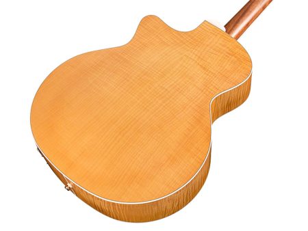 12 Cuerdas|SPRUCE+Flamed MAPLE c/Corte|Jumbo|FISHMAN - Image 5