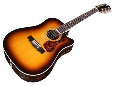12 Cuerdas|SPRUCE+ROSEWOOD c/Corte|Dreadnght|FISHMAN - Image 5