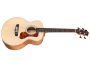 Tapa Solida SPRUCE + Flamed Maple | FISHMAN BT-1