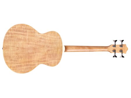 Tapa Solida SPRUCE + Flamed Maple | FISHMAN BT-1 - Image 3