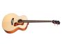 Bajo Electroacustico|Tapa Soida SPRUCE|FISHMAN BT-1