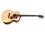 Bajo Electroacustico|Tapa Soida SPRUCE|FISHMAN BT-1
