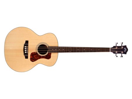 Bajo Electroacustico|Tapa Soida SPRUCE|FISHMAN BT-1 - Image 2