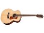 8 Cuerdas | Tapa Solida SPRUCE|Jumbo BARITONO| Fishman