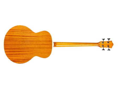 Todo Solido SPRUCE+MAHOGANY|FISHMAN BT-1 |c/FUNDA - Image 3